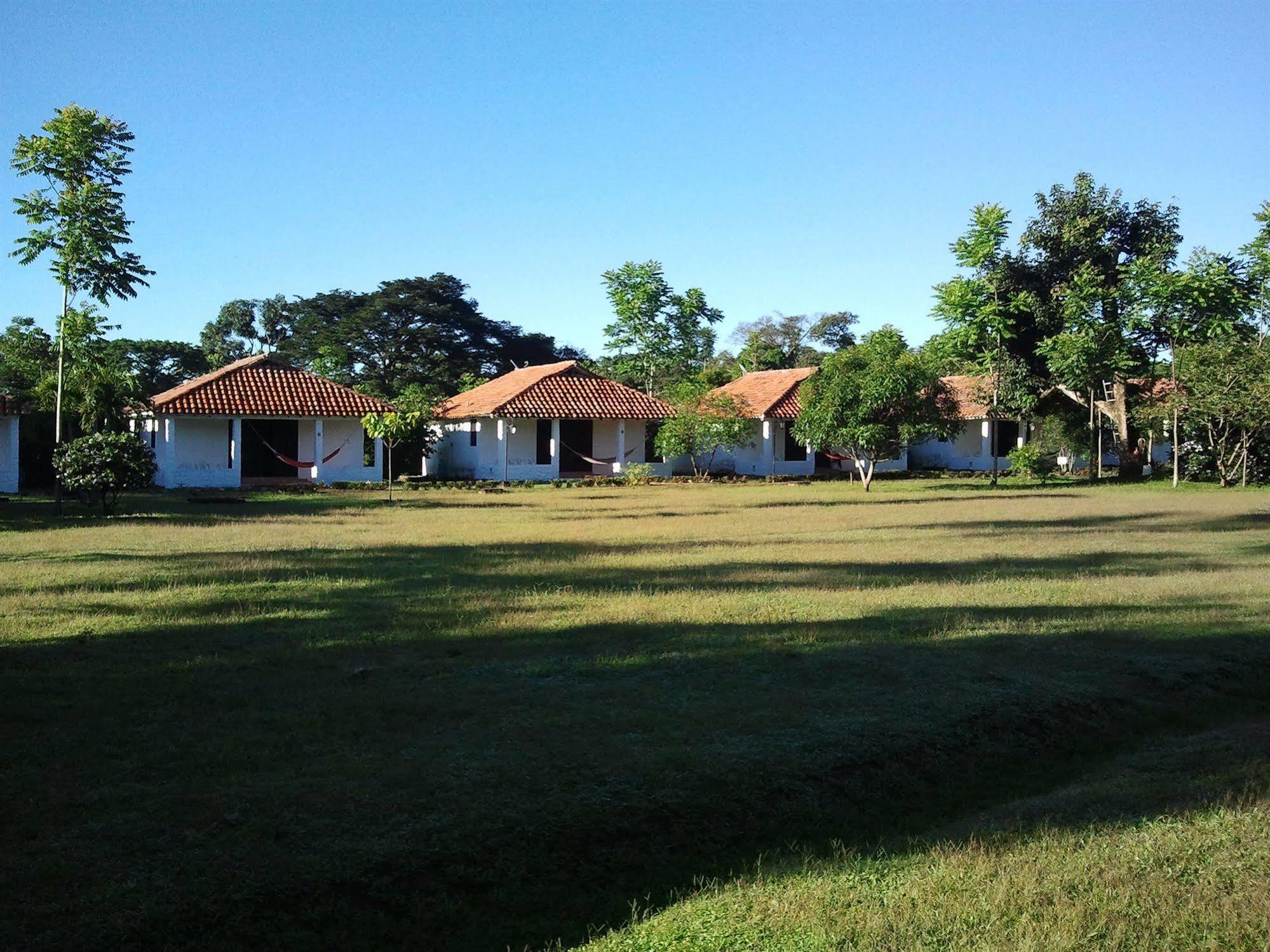 坎佩斯特里阿尔博乐托山林小屋酒店 比亚维森西奥 外观 照片